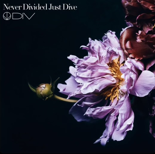 Never Divided Just Dive